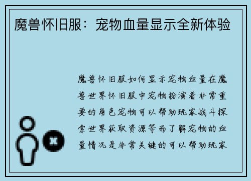 魔兽怀旧服：宠物血量显示全新体验